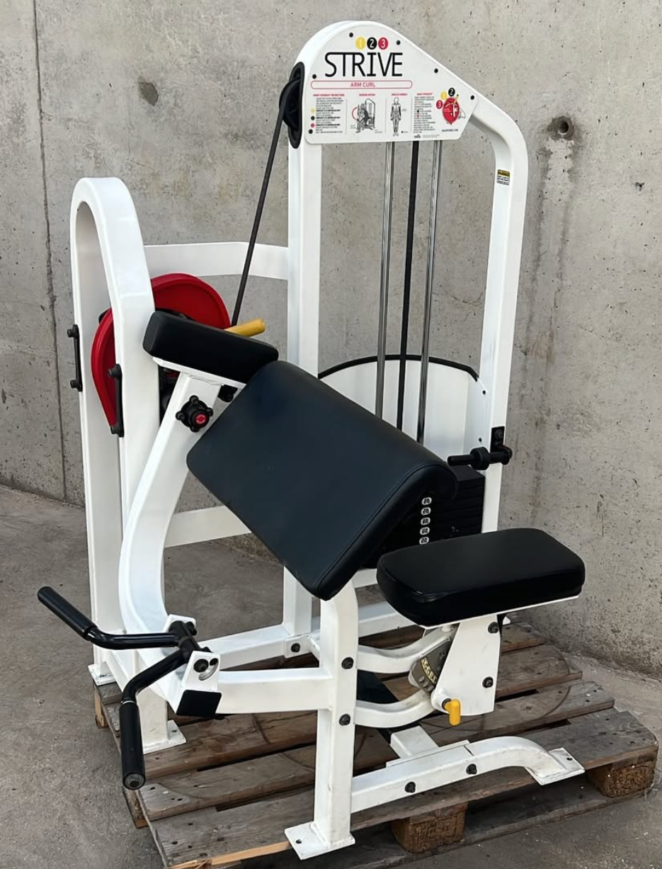 Strive Arm Curl
