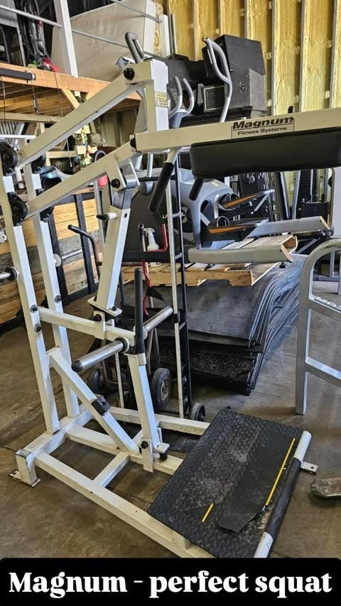 Magnum Fitness Systems Perfect Squat