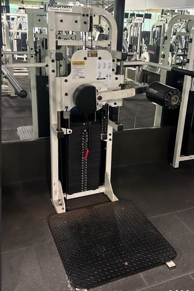 Magnum Fitness Systems Multiphip (rare)
