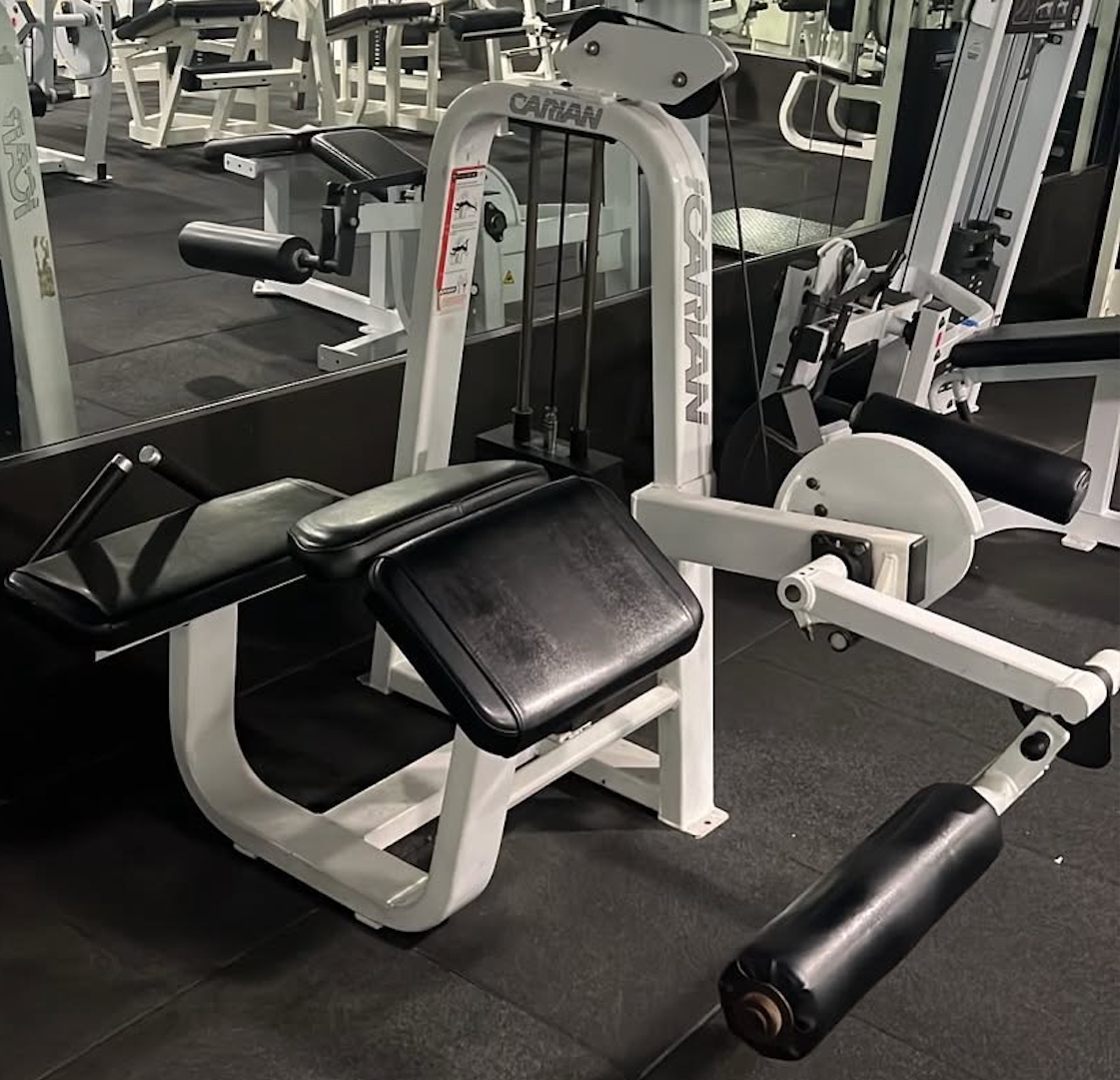 Precor icarian prone curl