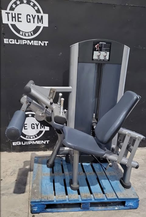 A life fitness seated leg curl machine is displayed on a blue pallet in front of a gym equipment store.