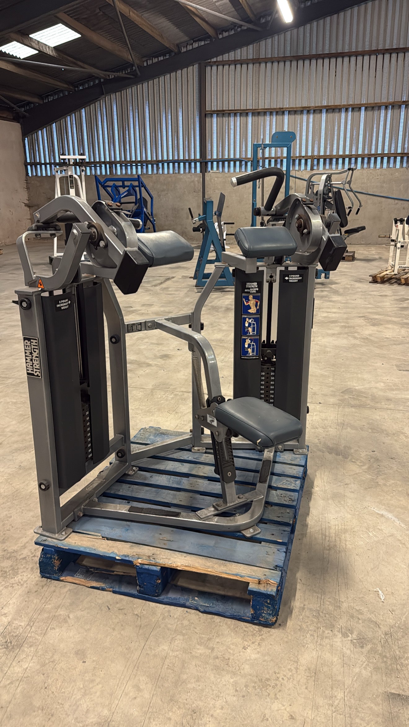 Hammer Strength - MTS - Bicep Curl