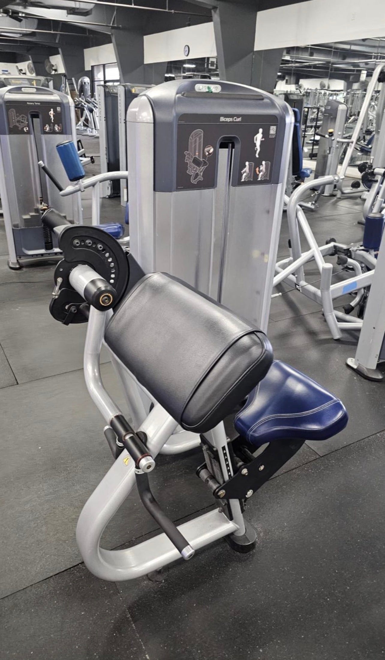 Precor Discovery Bicep Curl