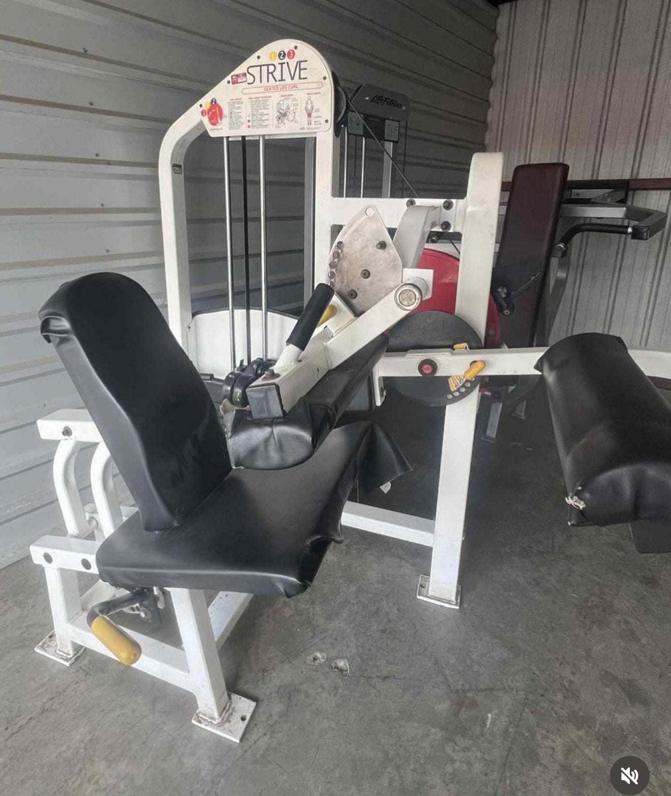 Strive _ Seated Leg Curll