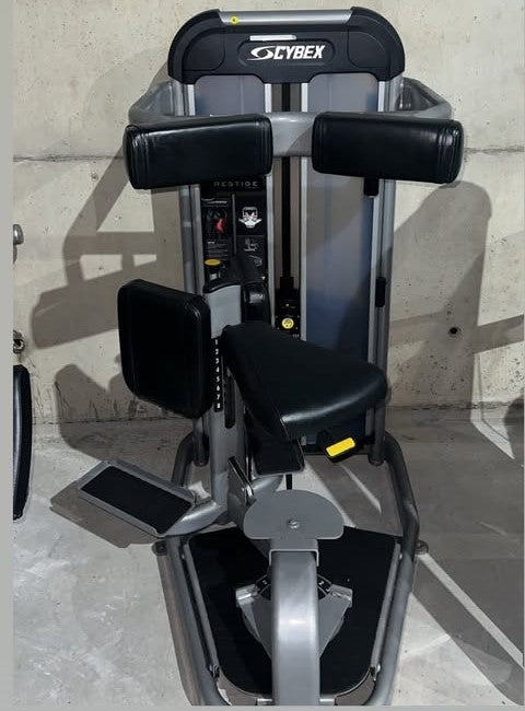 Cybex Eagle NX / Prestige / VR3 Series Complete Gym Line – Commercial Grade