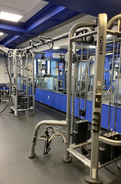 Cybex Eagle NX & Prestige Strength Package – Full Commercial Gym Setup