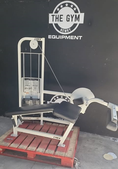 Cybex Prone Leg Curl