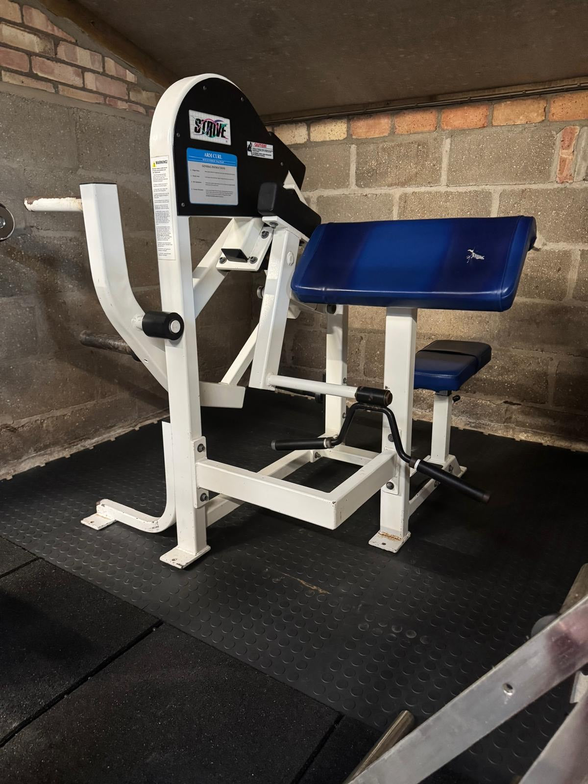 Strive - Bicep ( Plate Loaded )