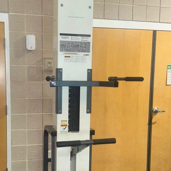 Cybex Assisted Pull Up/Dip