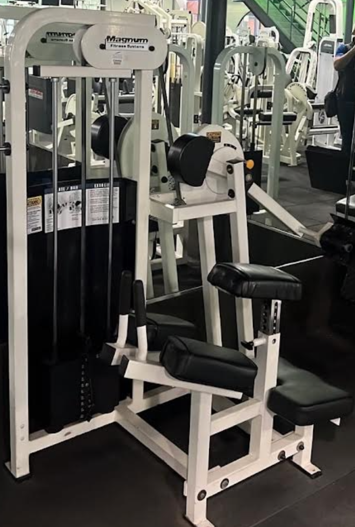 Magnum Fitness Systems Glute/Hamstring (Rare)