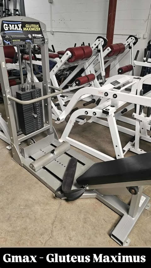 GMAX Gluteus Maximus
