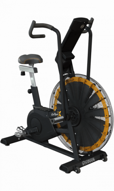 Octane Fitness AirDyneX Assault Bike