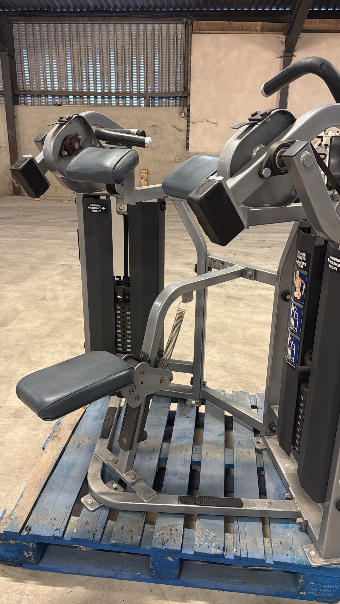 Hammer Strength - MTS - Bicep Curl