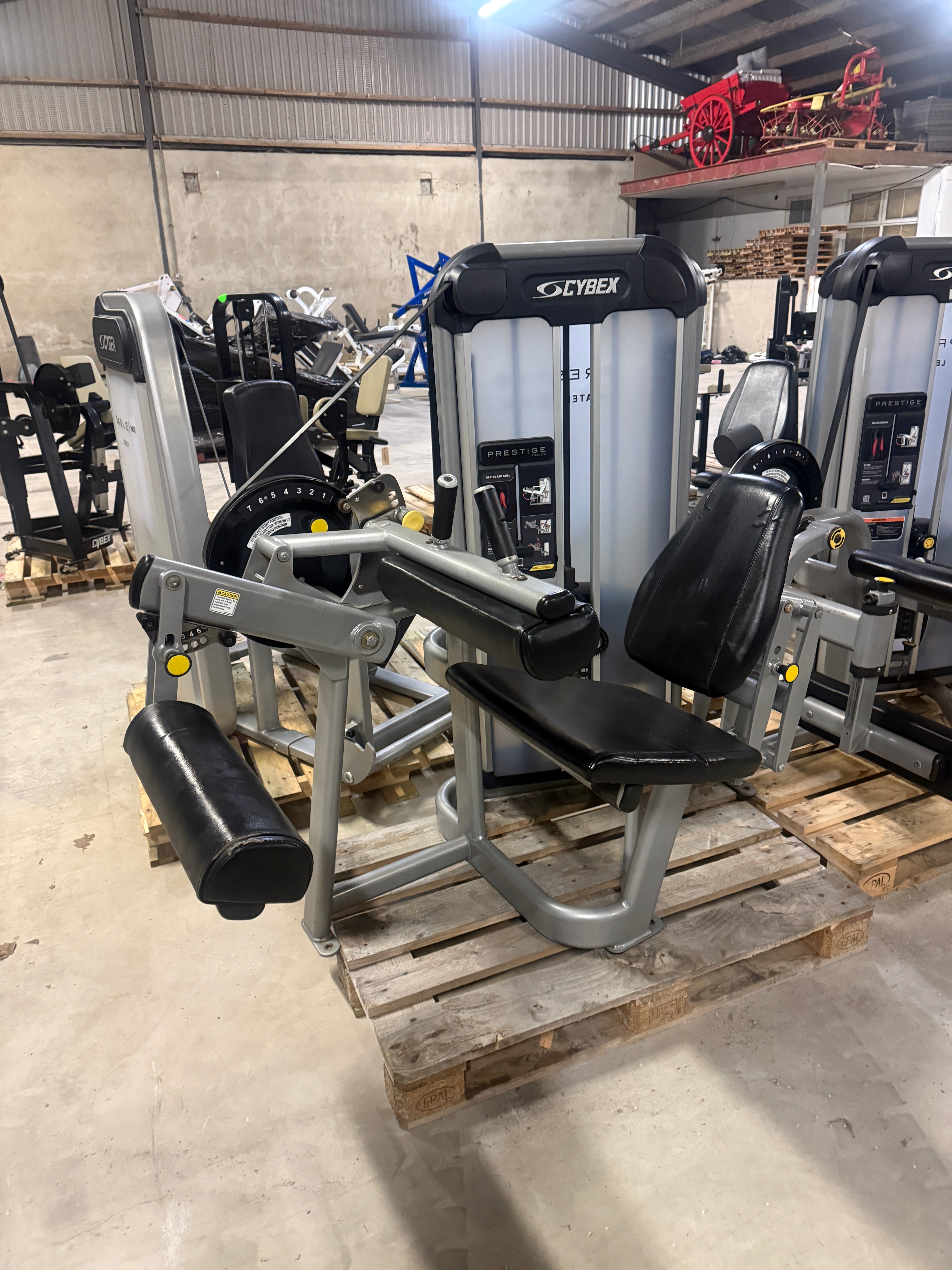 Cybex - Seated Leg Curl