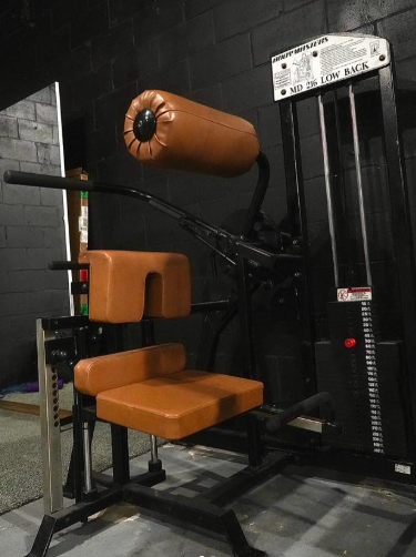 Bodymasters MD 216 Low Back