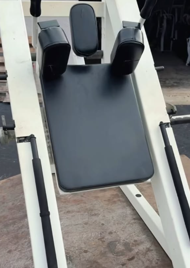 Cybex Hack Squat