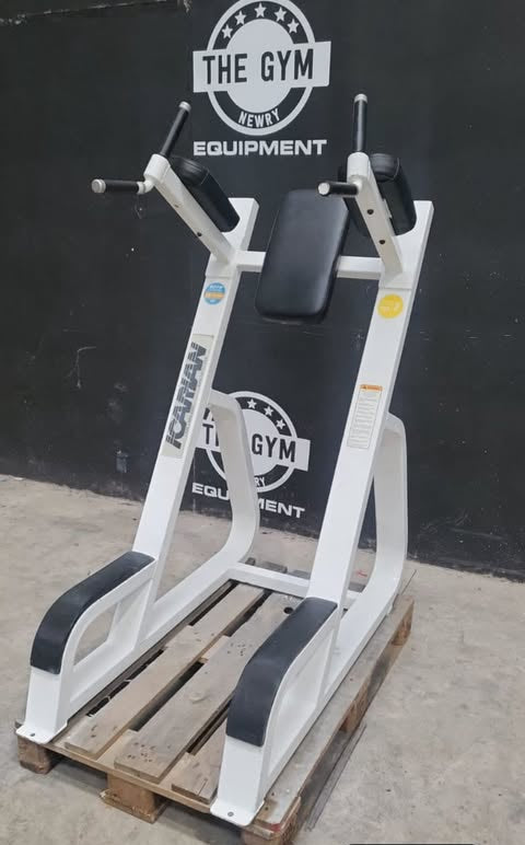 Precor Icarian Dip and Ab Station