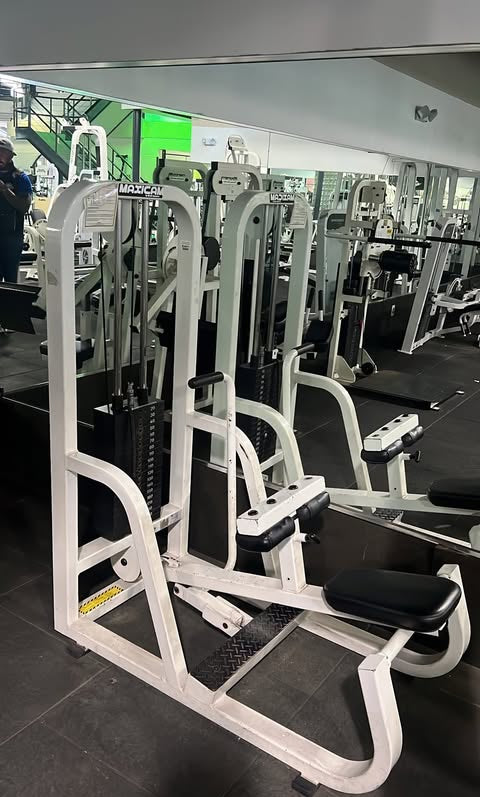 Maxicam Seated Calf