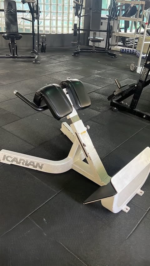Precor Icarian Hyperextension